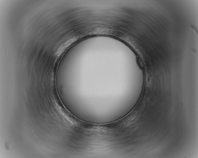 X0000103150437200809051641