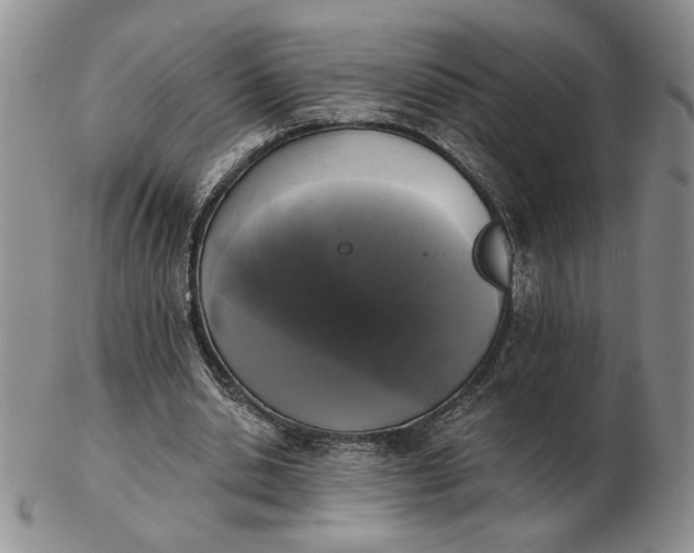 X0000103150438200809051641