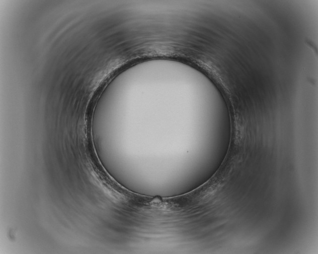 X0000103150439200809051641