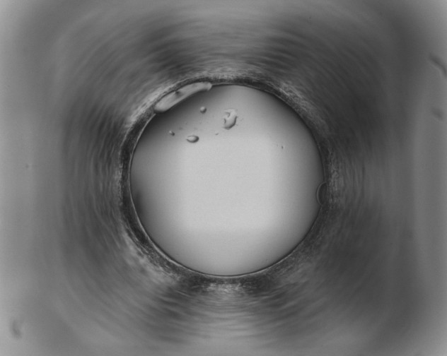 X0000103150440200809051641