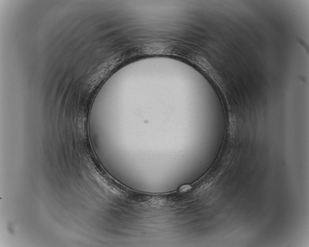 X0000103150441200809051641