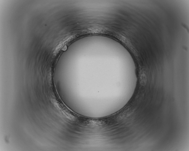 X0000103150442200809051641