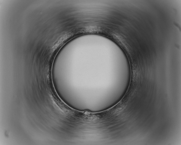 X0000103150443200809051641