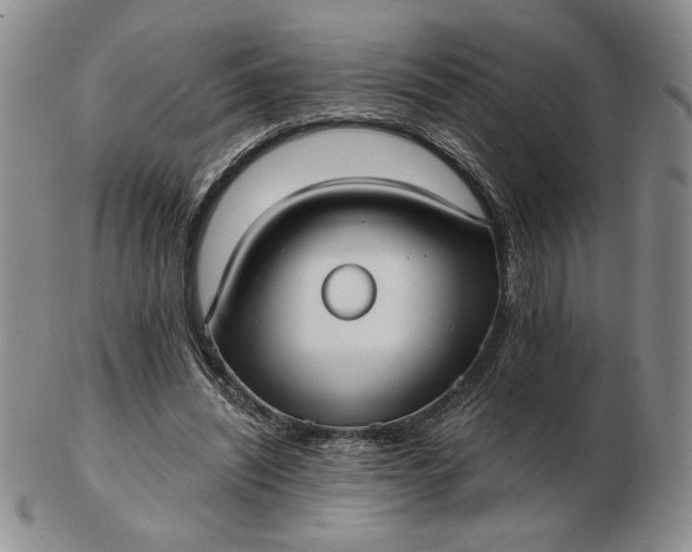 X0000103150444200809051641