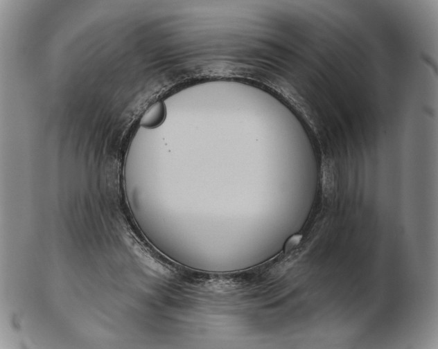 X0000103150445200809051641