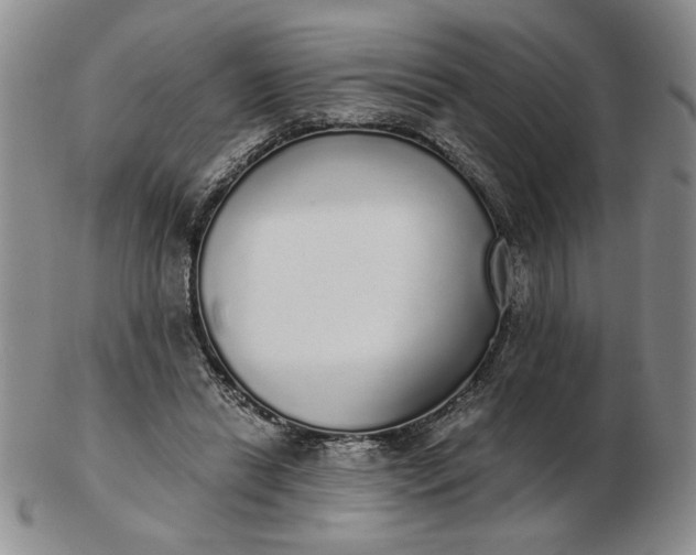 X0000103150446200809051641