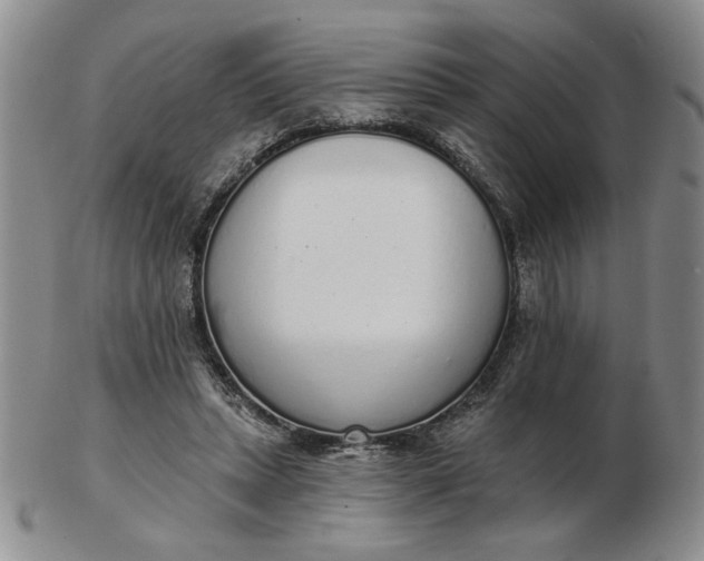 X0000103150447200809051641