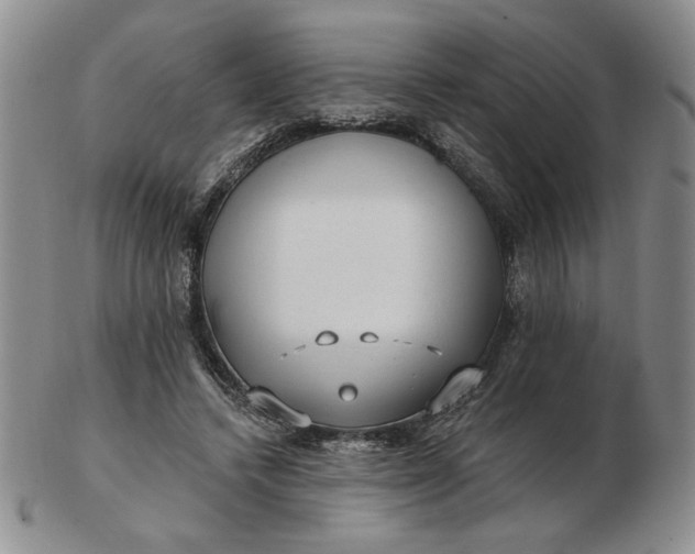 X0000103150448200809051641