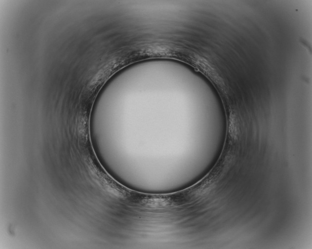 X0000103150449200809051641