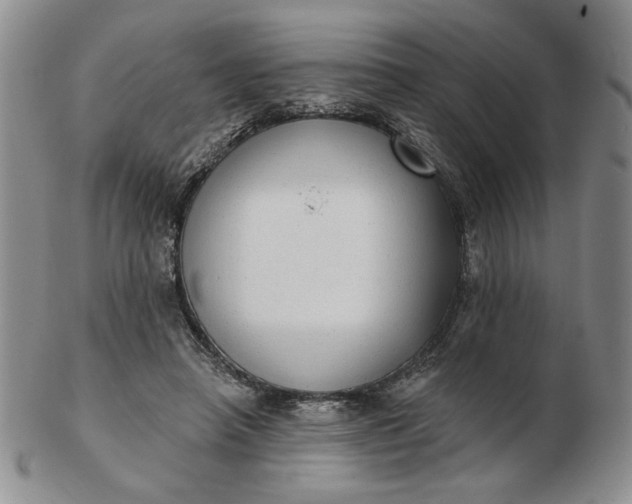 X0000103150450200809051641