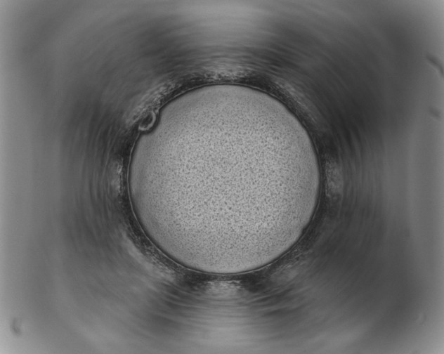 X0000103150451200809051641