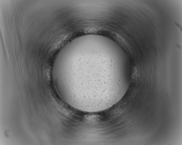 X0000103150452200809051641