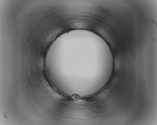 X0000103150453200809051641