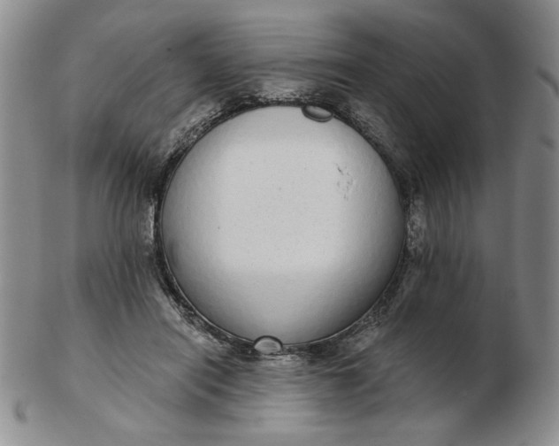 X0000103150454200809051641