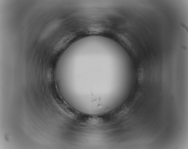 X0000103150455200809051641