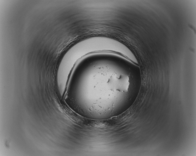 X0000103150456200809051641