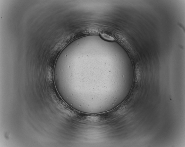 X0000103150457200809051641