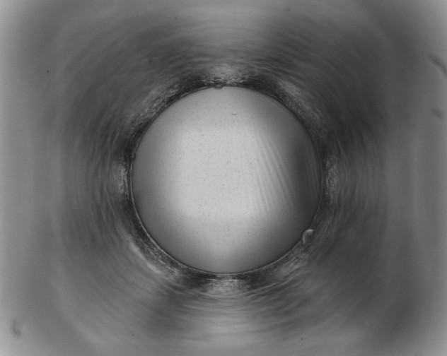 X0000103150459200809051641