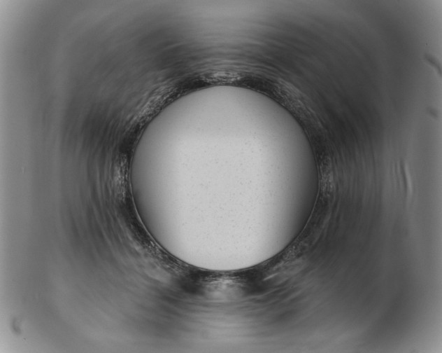 X0000103150460200809051641