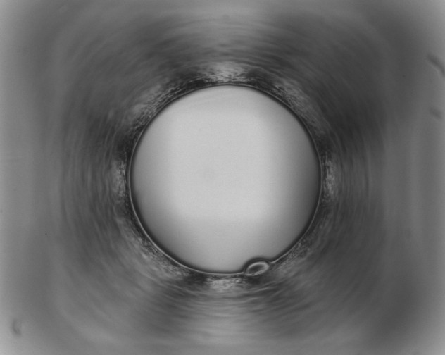 X0000103150461200809051641