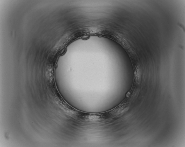 X0000103150462200809051641