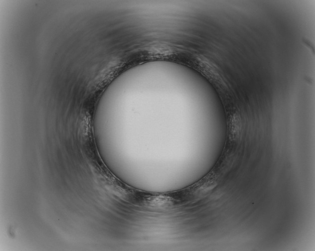 X0000103150463200809051641