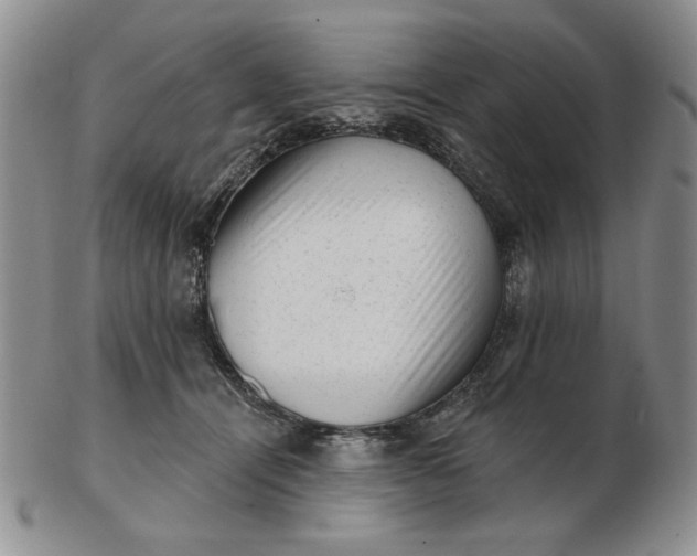 X0000103150464200809051641