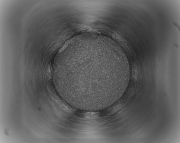 X0000103150465200809051641