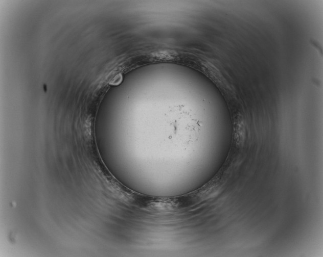 X0000103150466200809051641