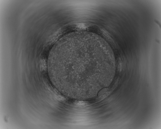 X0000103150467200809051641