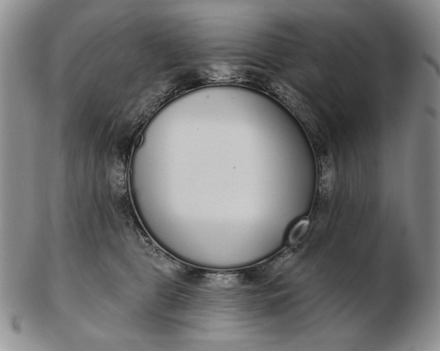 X0000103150469200809051641