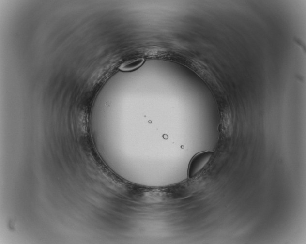 X0000103150470200809051641