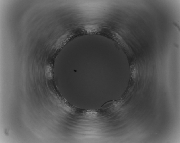 X0000103150471200809051641