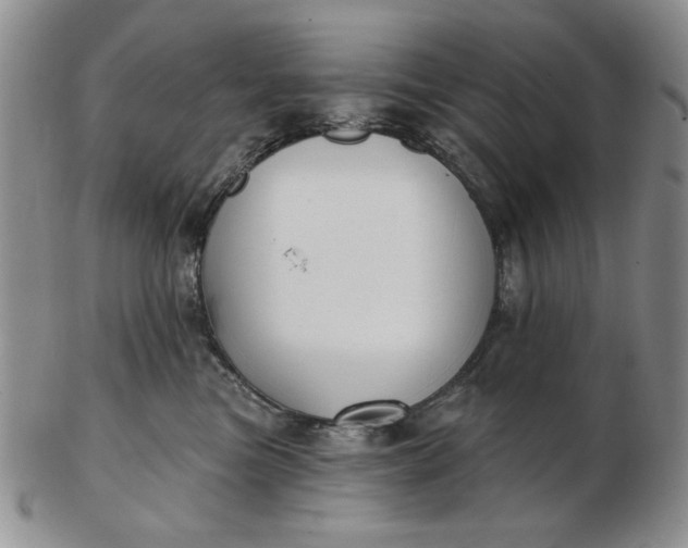 X0000103150473200809051641