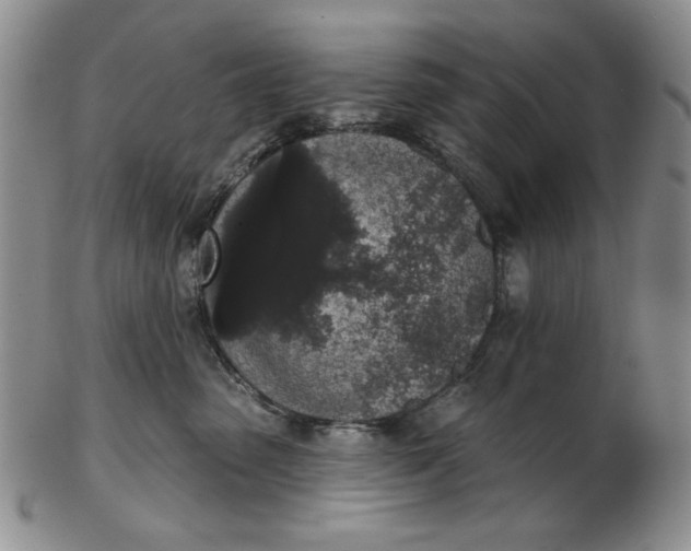 X0000103150475200809051641