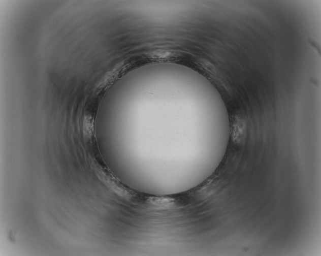 X0000103150476200809051641