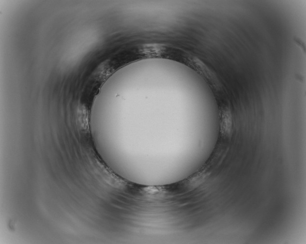 X0000103150477200809051641