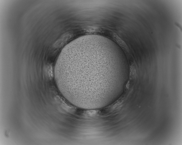 X0000103150479200809051641