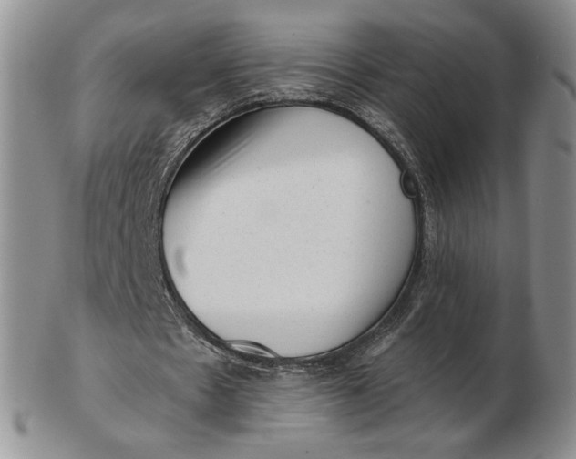 X0000103150481200809051640