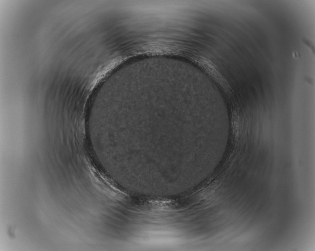 X0000103150488200809051640