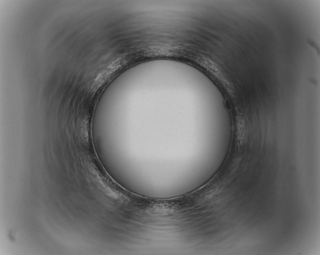 X0000103150489200809051640