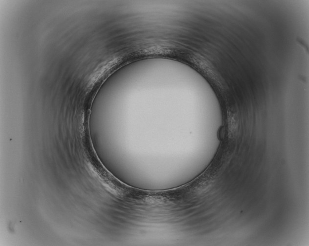 X0000103150490200809051640