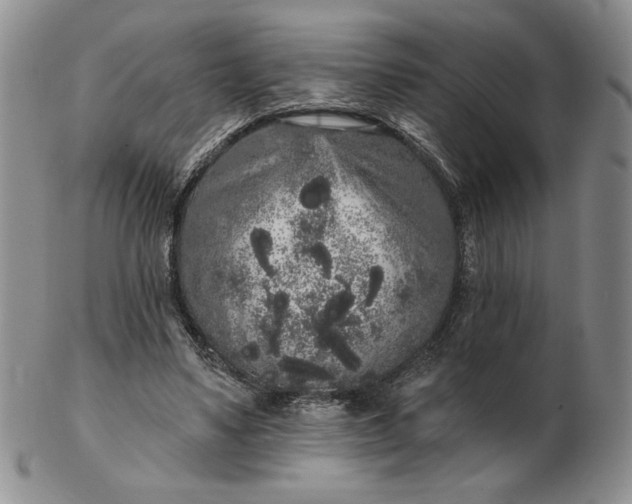 X0000103150491200809051640