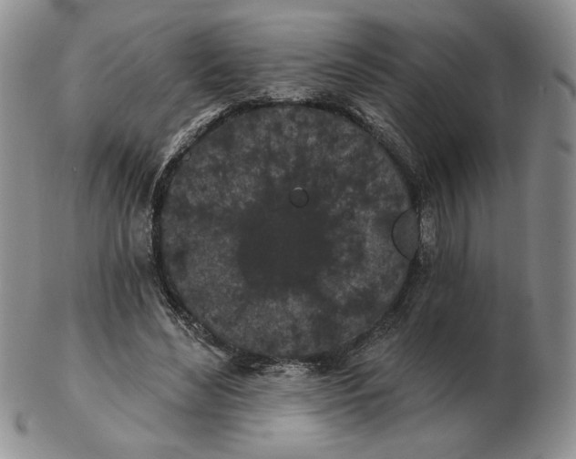 X0000103150492200809051640