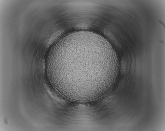 X0000103150494200809051640