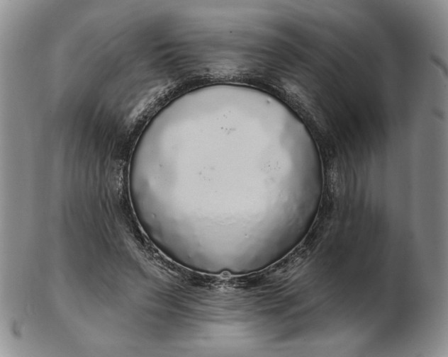 X0000103150495200809051640