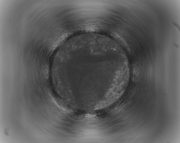 X0000103150496200809051640