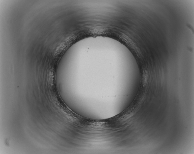 X0000103150497200809051640