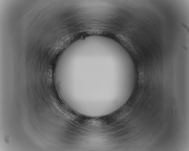 X0000103150498200809051640