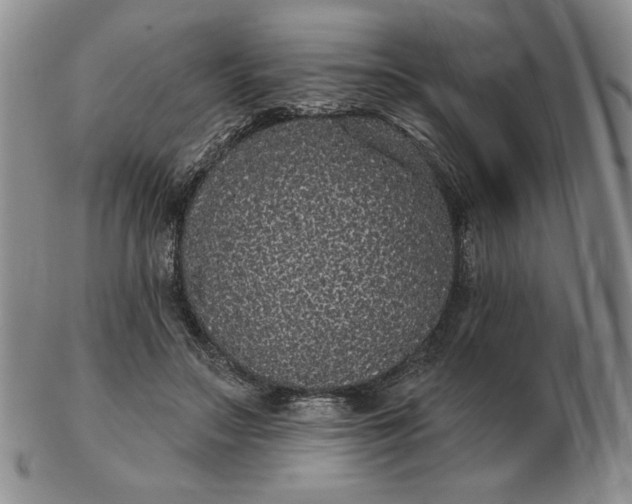 X0000103150499200809051640